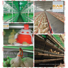 Equipo de la agricultura para el pollo de engorde del fabricante 2016